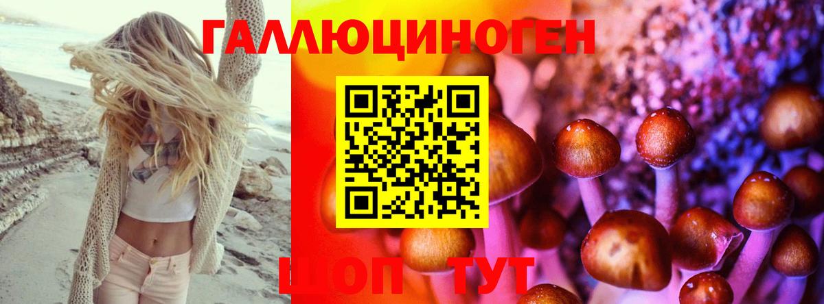 Петропавловск-Камчатский  Псилоцибиновые грибы мицелий  Галлюциногенные грибы MAGIC MUSHROOMS  Вход с VPN 
